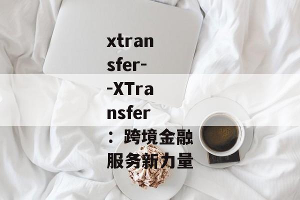 xtransfer--XTransfer：跨境金融服务新力量